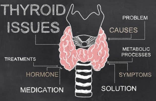What is hypothyroidism? Symptoms, Causes, Diagnosis and Treatment?